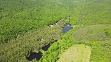 Sofya Bölgesi, Bulgaristan 'daki Lozenska Dağı' ndaki Sua Gabra Gölleri 'nin hava manzarası