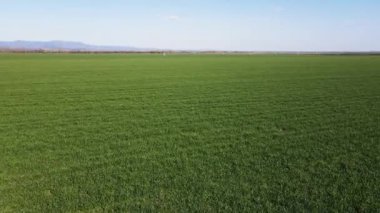 Bulgaristan 'ın Filibe Bölgesi' nin Hisarya kenti yakınlarındaki Kırsal Arazi Havacılık Baharı manzarası