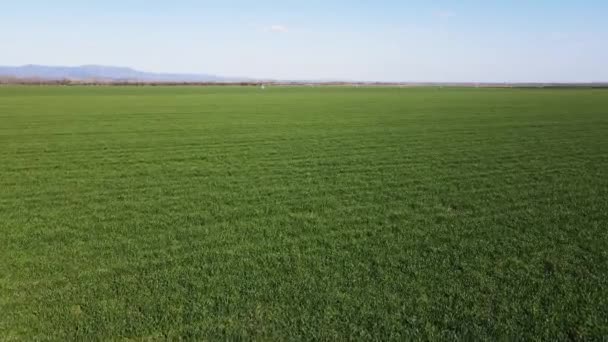 Vue Aérienne Printemps Terre Rurale Près Hisarya Région Plovdiv Bulgarie — Video