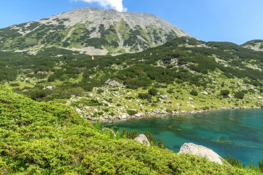 Bulgaristan 'ın Pirin Dağı' ndaki Balık Banderitsa gölünün yaz manzarası