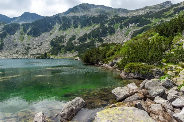 Summer Landscape Fish Banderitsa Lake Pirin Mountain Bulgaria — Stock Photo, Image