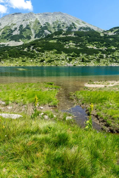 Летний Пейзаж Озера Фиш Бандерица Горе Пирин Болгария — стоковое фото