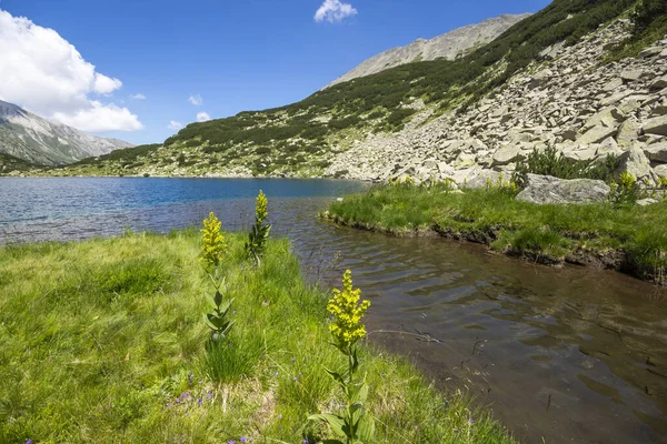 Sommar Landskap Fisk Banderitsa Sjö Vid Pirin Mountain Bulgarien — Stockfoto