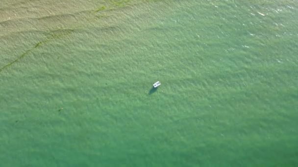 Flygfoto Små Vildsvin Vid Gradina Garden Beach Nära Staden Sozopol — Stockvideo