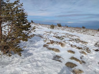 Bulgaristan 'ın Sofya Şehir Bölgesi' nin Kamen Del zirvesi yakınlarındaki Vitosha Dağı 'nın kış manzarası