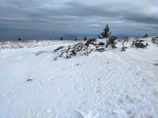 Téli Táj Vitosha Mountain Közelében Kamen Del Csúcs Szófia Város — Stock Fotó