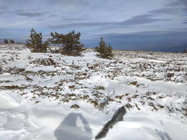 Zimní Krajina Hory Vitosha Poblíž Vrcholu Kamen Del Sofijský Městský — Stock fotografie