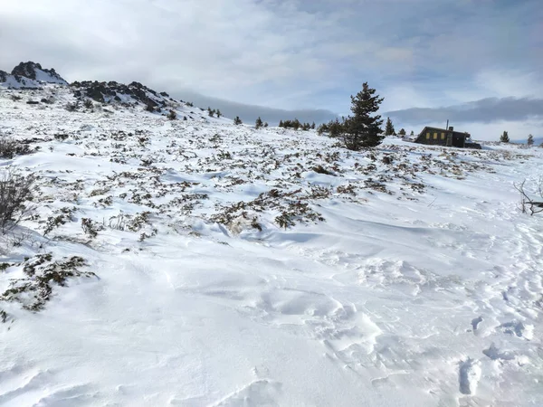 Téli Táj Vitosha Mountain Közelében Kamen Del Csúcs Szófia Város — Stock Fotó