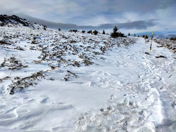 Winter Landscape Vitosha Mountain Kamen Del Peak Sofia City Region — Stock Photo, Image