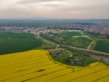 Bulgaristan 'ın Haskovo kenti yakınlarındaki Blooming tecavüz tarlasının hava görüntüsü
