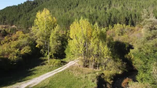 Воздушный Осенний Вид Ущелья Реки Нишава Балканские Горы Болгария — стоковое видео