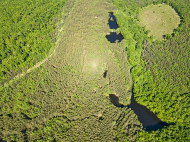 Sofya Bölgesi, Bulgaristan 'daki Lozenska Dağı' ndaki Sua Gabra Gölleri 'nin hava manzarası