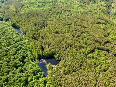 Sofya Bölgesi, Bulgaristan 'daki Lozenska Dağı' ndaki Sua Gabra Gölleri 'nin hava manzarası