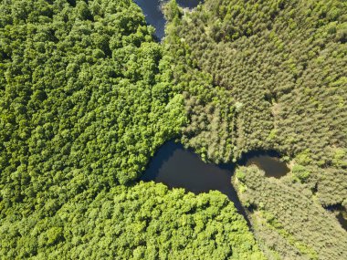 Sofya Bölgesi, Bulgaristan 'daki Lozenska Dağı' ndaki Sua Gabra Gölleri 'nin hava manzarası