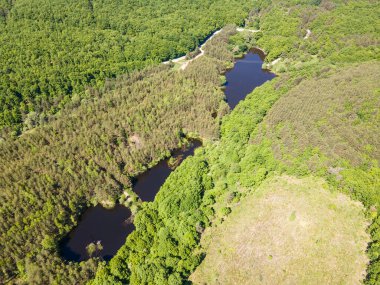 Sofya Bölgesi, Bulgaristan 'daki Lozenska Dağı' ndaki Sua Gabra Gölleri 'nin hava manzarası