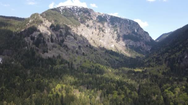 Kirilova Polyana Cyril Çayırı Kyustendil Bölgesi Bulgaristan Yakınlarındaki Rila Dağı — Stok video