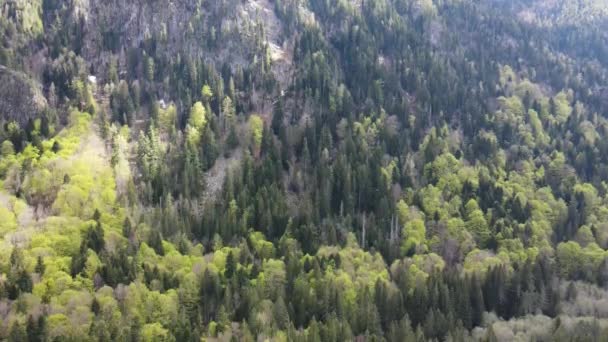 Luchtfoto Van Rila Mountain Bij Kirilova Polyana Cyril Weide Kyustendil — Stockvideo