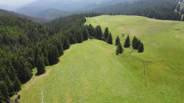 Incredibile Vista Aerea Della Montagna Rila Vicino Alla Diga Belmeken — Video Stock