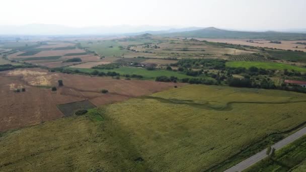 Vista Aérea Paisagem Campo Girassol Aldeia Boshulya Região Pazardzhik Bulgária — Vídeo de Stock