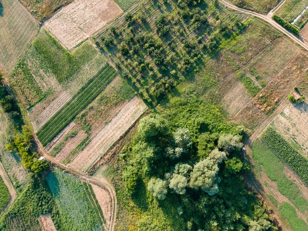 Légi Napnyugta Kilátás Petrich Völgy Blagoevgrad Régió Bulgária — Stock Fotó