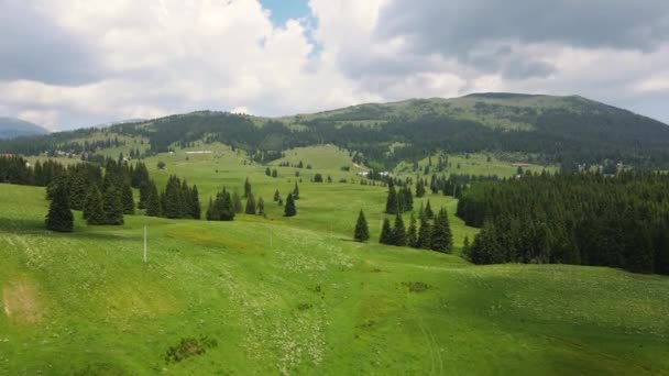 불가리아의 근처에 라일라 놀라운 — 비디오