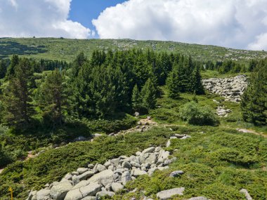 Morenite 'in hava manzarası (Moraines) - Bulgaristan' ın Sofya Şehir Bölgesi 'ndeki Vitosha Dağı' nda taş nehir