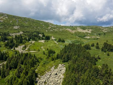 Morenite 'in hava manzarası (Moraines) - Bulgaristan' ın Sofya Şehir Bölgesi 'ndeki Vitosha Dağı' nda taş nehir