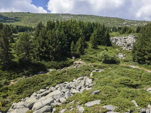 Morenite Hava Manzarası Moraines Bulgaristan Sofya Şehir Bölgesi Ndeki Vitosha — Stok fotoğraf