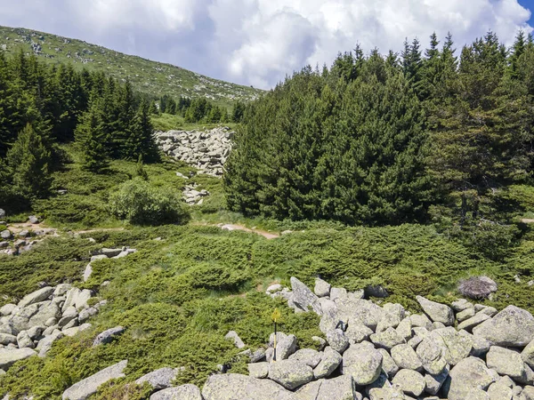 Légi Kilátás Morenite Moraines Stone Folyó Vitosha Mountain Szófia City — Stock Fotó