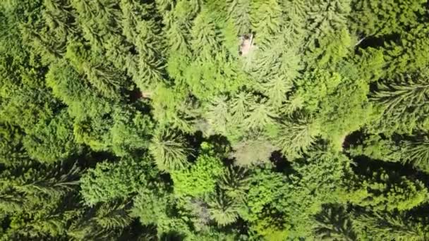 Αεροφωτογραφία Του Όρους Ρίλα Κοντά Στην Kirilova Polyana Λιβάδι Cyril — Αρχείο Βίντεο