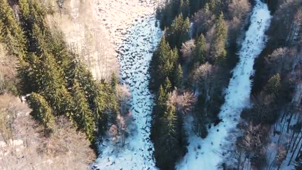 Luchtfoto Van Winter Uitzicht Stone River Bekend Als Zlatnite Mostove — Stockvideo