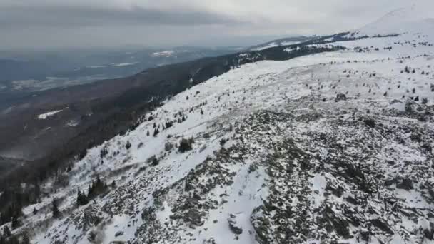保加利亚Vitosha山Sofia和Kamen Del Peak市的空中景观 — 图库视频影像