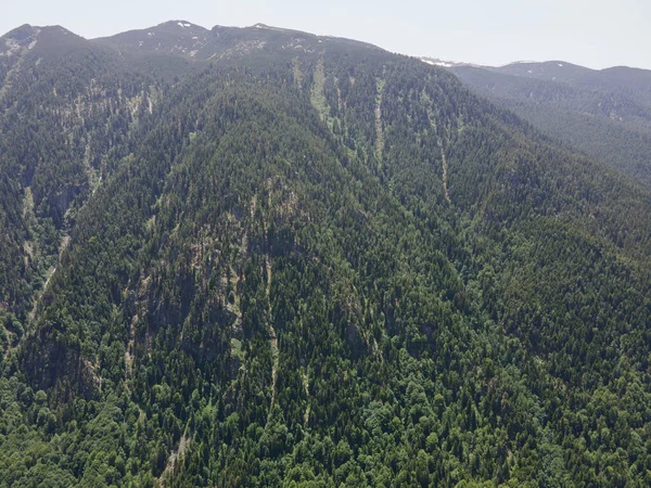 Vista Aerea Della Montagna Rila Vicino Kirilova Polyana Prato Cyril — Foto Stock