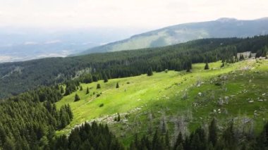 Bulgaristan 'ın Sofya Şehir Bölgesi, Vitosha Dağı' nın havadan yaz manzarası