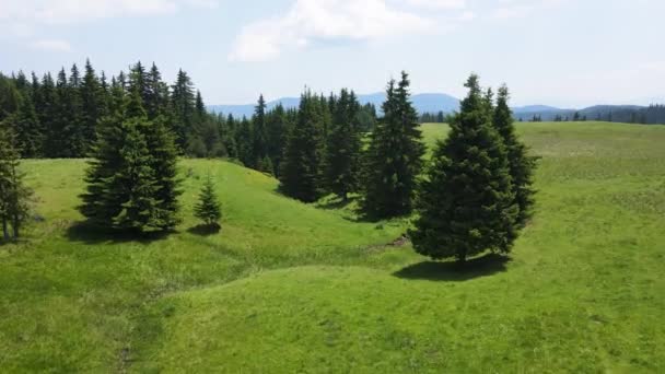 Удивительный Вид Воздуха Гору Рила Возле Дамбы Белмекен Болгария — стоковое видео