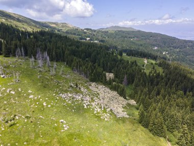 Morenite 'in hava manzarası (Moraines) - Bulgaristan' ın Sofya Şehir Bölgesi 'ndeki Vitosha Dağı' nda taş nehir