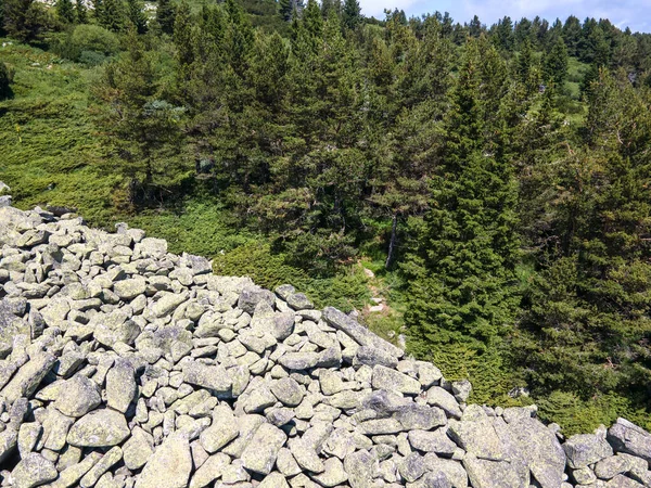 Vista Aérea Morenite Moraines Río Piedra Montaña Vitosha Región Ciudad —  Fotos de Stock