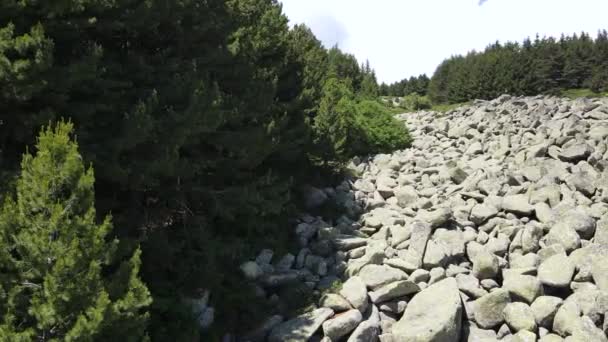 Flygfoto Över Morenite Moraines Stenfloden Vid Vitosha Mountain Sofia City — Stockvideo