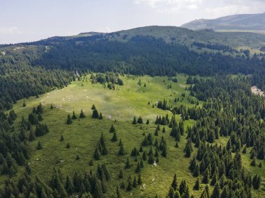 Konyarnika bölgesinin hava manzarası ar Vitosha Dağı, Sofya Şehir Bölgesi, Bulgaristan