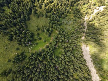 Konyarnika bölgesinin hava manzarası ar Vitosha Dağı, Sofya Şehir Bölgesi, Bulgaristan
