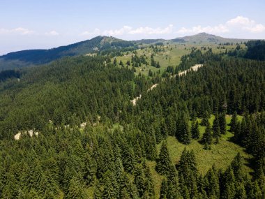 Konyarnika bölgesinin hava manzarası ar Vitosha Dağı, Sofya Şehir Bölgesi, Bulgaristan