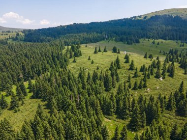 Konyarnika bölgesinin hava manzarası ar Vitosha Dağı, Sofya Şehir Bölgesi, Bulgaristan