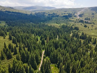 Konyarnika bölgesinin hava manzarası ar Vitosha Dağı, Sofya Şehir Bölgesi, Bulgaristan