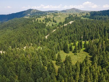Konyarnika bölgesinin hava manzarası ar Vitosha Dağı, Sofya Şehir Bölgesi, Bulgaristan