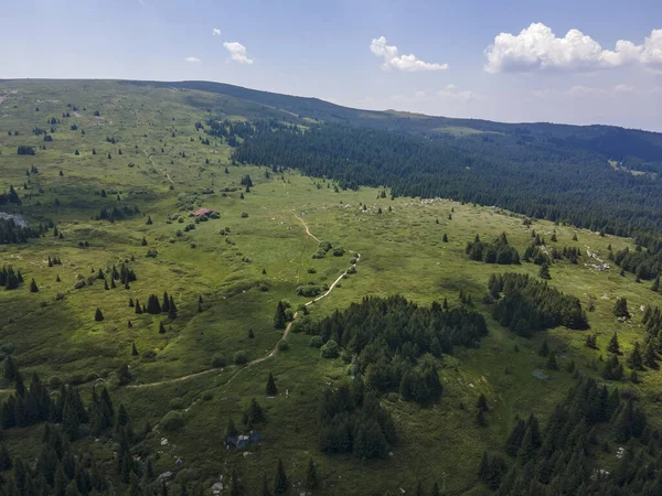 Vue Aérienne Région Konyarnika Montagne Vitosha Région Sofia Bulgarie — Photo