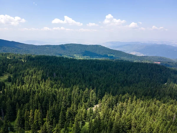 Luftaufnahme Des Konyarnika Gebiets Vitosha Gebirge Stadtgebiet Sofia Bulgarien — Stockfoto