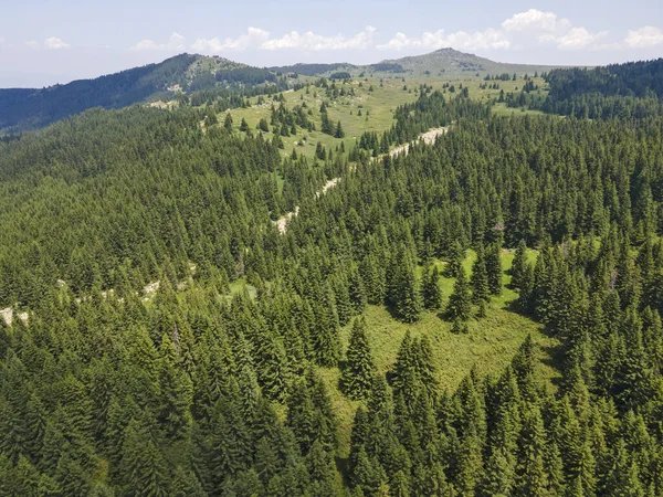 保加利亚索菲亚市Konyarnika地区Ar Vitosha山的空中景观 — 图库照片