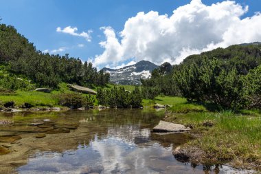 Dağ nehri ve Banderishki Chukar Tepesi, Pirin Dağı, Bulgaristan