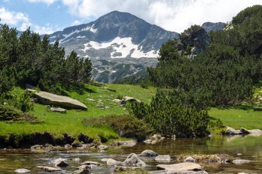 Dağ nehri ve Banderishki Chukar Tepesi, Pirin Dağı, Bulgaristan