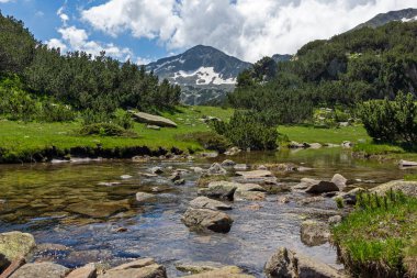 Dağ nehri ve Banderishki Chukar Tepesi, Pirin Dağı, Bulgaristan